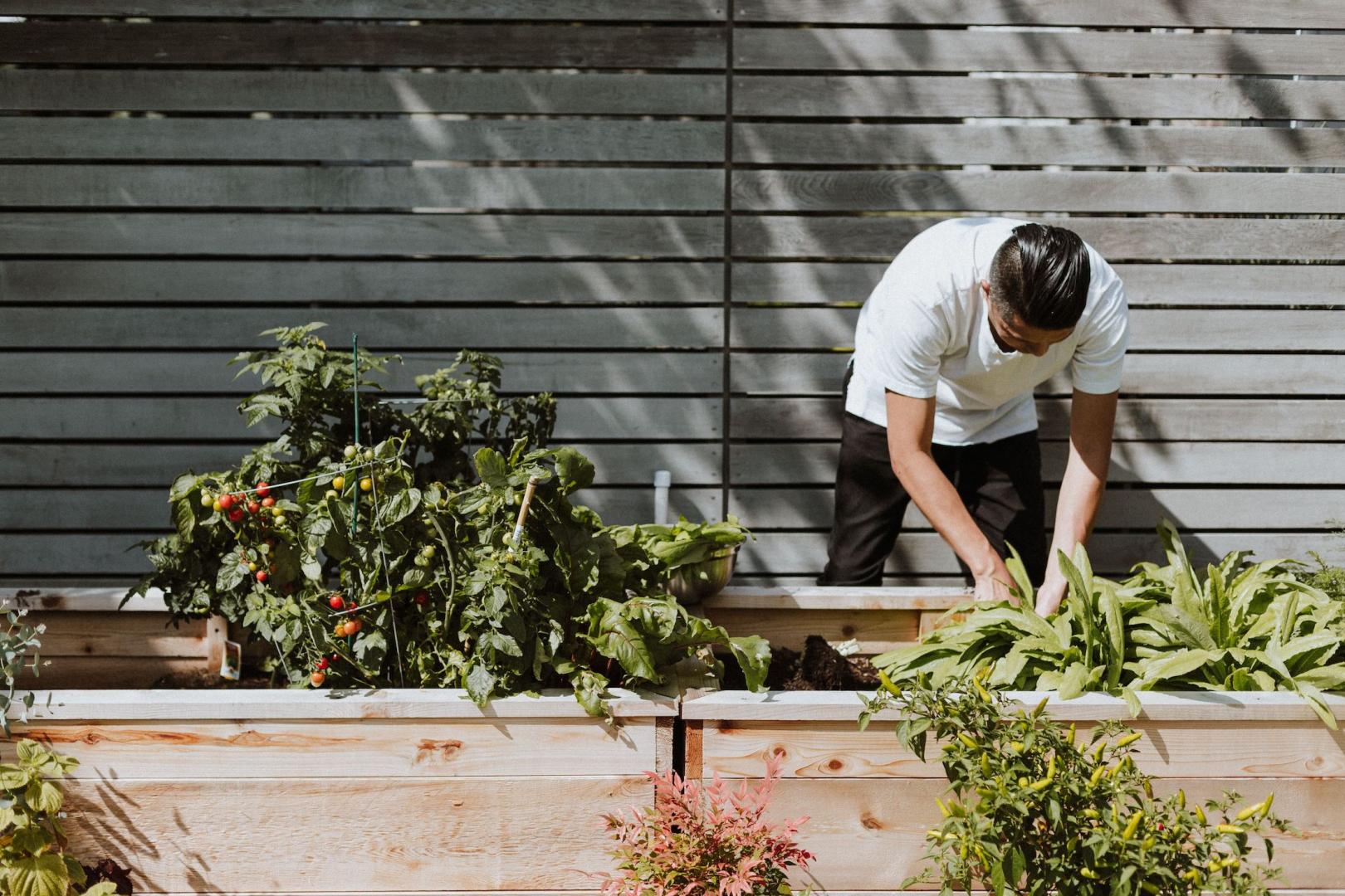 Cinq trucs pour réussir votre jardin